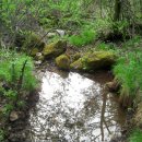 샘터농장 이미지