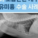 메디유미 이미지