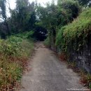 도신자원 이미지