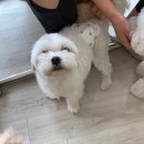청려원