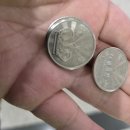 대현프리몰 창원점 | 합성동 지하상가 정글비 보드게임카페 창원대현프리몰점 추천