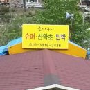 민박미천골 Daum카페