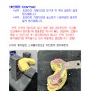 서동호치과
