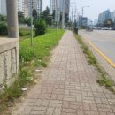 동삭1교 이미지