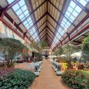 뮌스터담 이미지