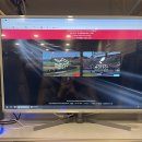 F1 PC방 | 일본 스즈카 F1 그랑프리 직관 후기 1탄- 직관준비