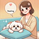 서울장신대학교 전인치유선교대학원 | 🏥경험담) 동물들이 아플 때 어떻게 해줘야 될까? 💡인증 받은 방법💡