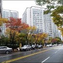 분당-193 이미지