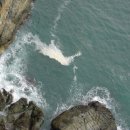 태종대 전망대 이미지