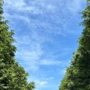 도연목장 이미지