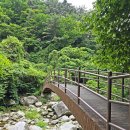 [8월6일] 지리산 구룡계곡 트레킹산행 이미지
