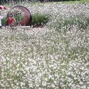 최성민 카카오 검색결과