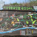 구례의 휴일 이미지