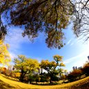 달성공원 이미지