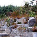 실버웰노인건강센터 이미지