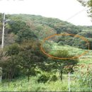 전천후농장 이미지