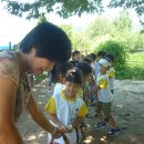 성아유치원 이미지