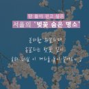 서울의 벚꽃 숨은 명소 이미지