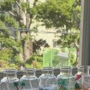 THE 드림 태권도 이미지