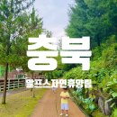 알프스 휴양림 | 충북의 자랑 알프스 자연휴양림 빌리지2동 찐후기 이용꿀팁