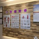 내손안마원 이미지