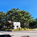 양양이 | [양양]양양 아이랑 놀거리 찾는다면? 홈즈앤루팡 이용후기