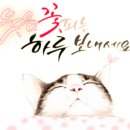 러브퀼트퀼트 이미지