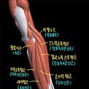 아크앤필라테스