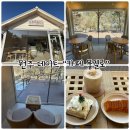 도원운학로 | 원주 데이트 "카페물길로" 계곡과 자연이 어우러진 휴식공간