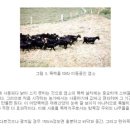 방목 - 성북구 동소문로2길 21 | 방목