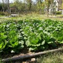 e편한세상경로당 이미지