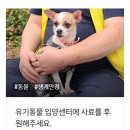 팅커벨 모금홍보대사로 해피빈에서 고군분투하는 파도 이미지