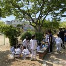 (학교)경포초 네이버블로그