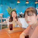 샵팔래트
