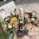 투웰브바스켓 이미지