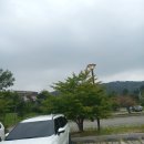 양주시립회암사지박물관 | 북부 양주 아이와 함께하는 역사여행 - 조선 최대의 왕실 사찰 회암사 양주시립회암사지박물관 방문후기