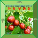 광광 농원 이미지