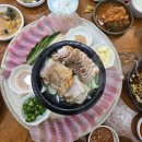 신안홍탁 - 당진시 당진시장서길 41 | 인천 만수동 신안홍탁집 홍어삼합 홍어튀김 맛나게 먹고 왔어요^^