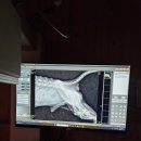 사랑이있는동물병원 이미지