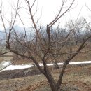 성실농원 이미지