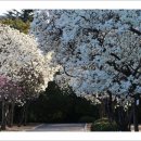 산골무지개 이미지