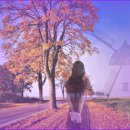 가을빛여인에게/ 이미지