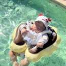 금호리조트사우나 이미지