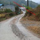 도장초교 이미지