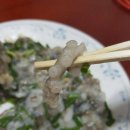 무안뻘낙지 이미지