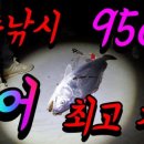 세남자물고기