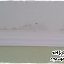 돌마주유소