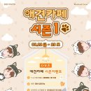다비드 해운대점 이미지
