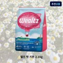 웰츠