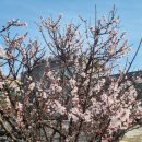 마당민박 이미지